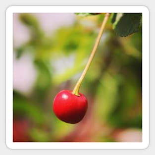 Garden Berry Sticker